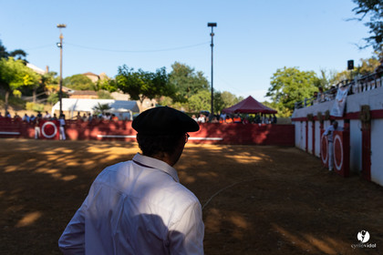 Course landaise à Panjas