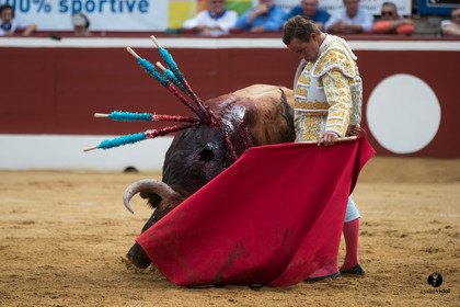 Mont-de-Marsan corrida de Garcigrande pour El Juli et Juan Bautista