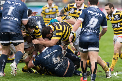 Stade Montois Rugby - Colomiers