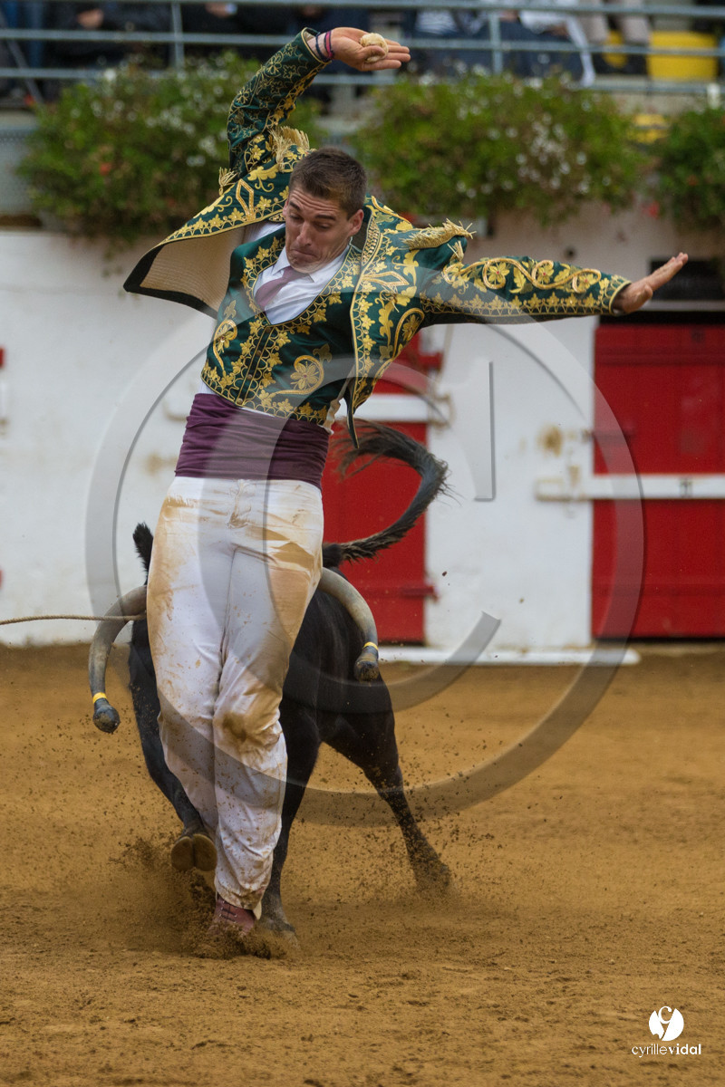 Nogaro Championnatde France de Course Landaise 2017