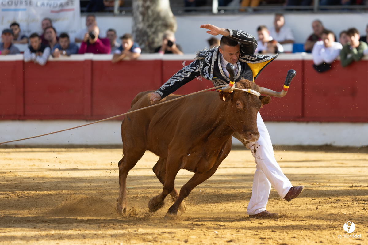 Nogaro Championnat de France de course landaise 2022
