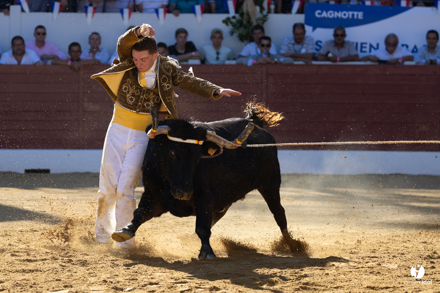 Aire-sur-l'Adour Championnat de France de course landaise 2023