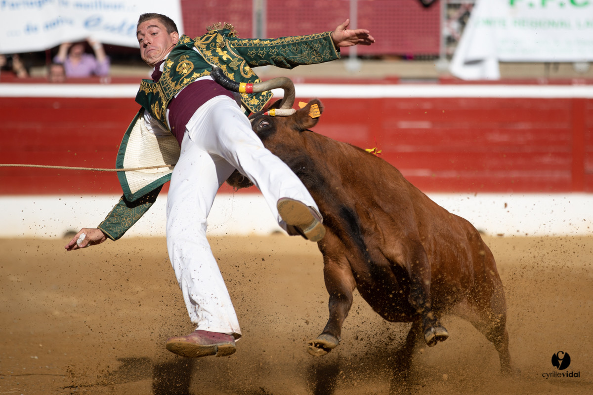 Mont-de-Marsan championnat de France de course landaise 2019