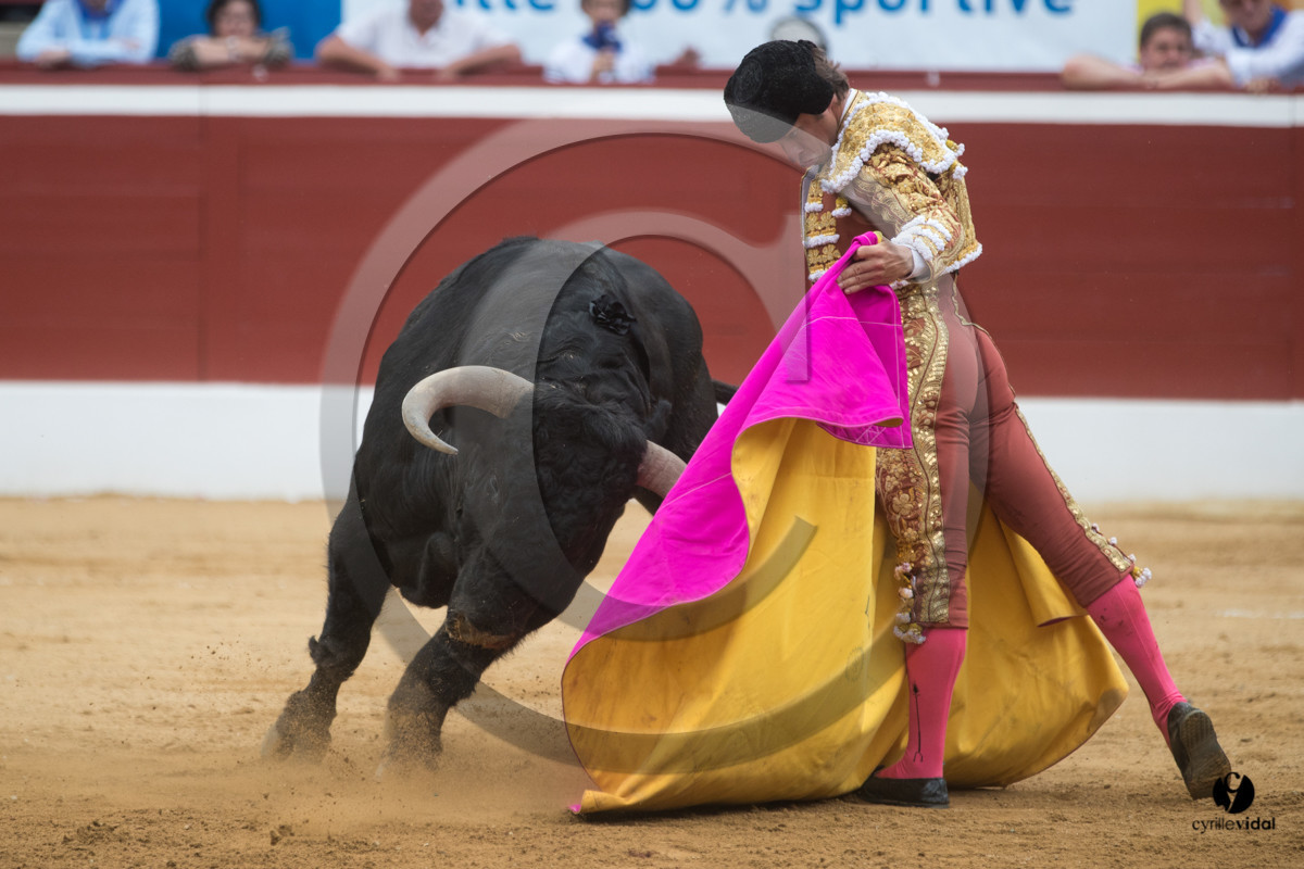 Mont-de-Marsan corrida de Garcigrande pour El Juli et Juan Bautista