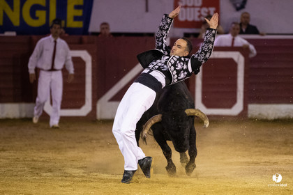 Landes émotions à Aire-sur-l'Adour