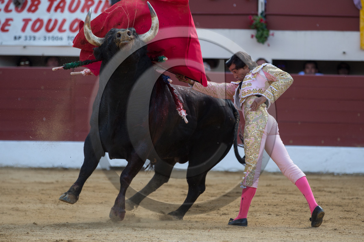 corrida, toro, vic fezensac, alcurrucen, michelito, morenito de aranda