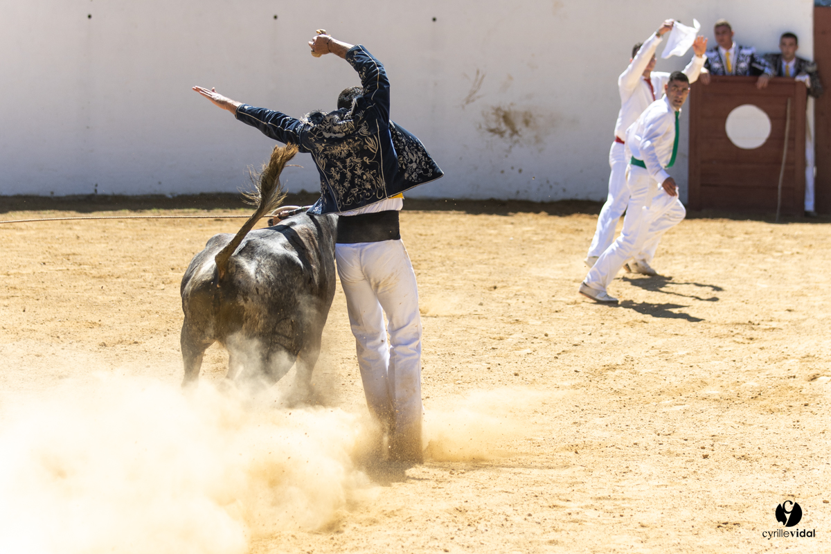 Saint-Cricq Chalosse course landaise de promotion Ganadéria Deyris Cuadrilla Jérémy Lafitte