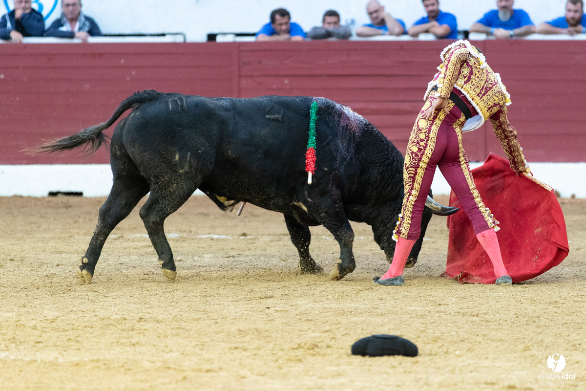 Corrida d'Aire sur l'Adour