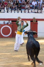 Course landaise à Panjas