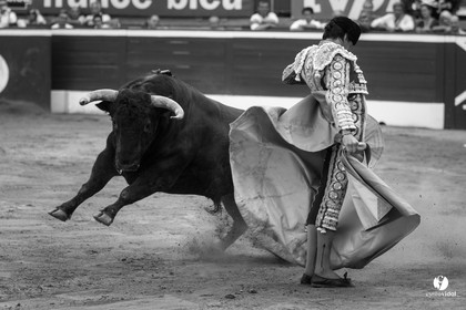 Mont-de-Marsan corrida de Jandilla pour Padilla - Talavante - Roca Rey
