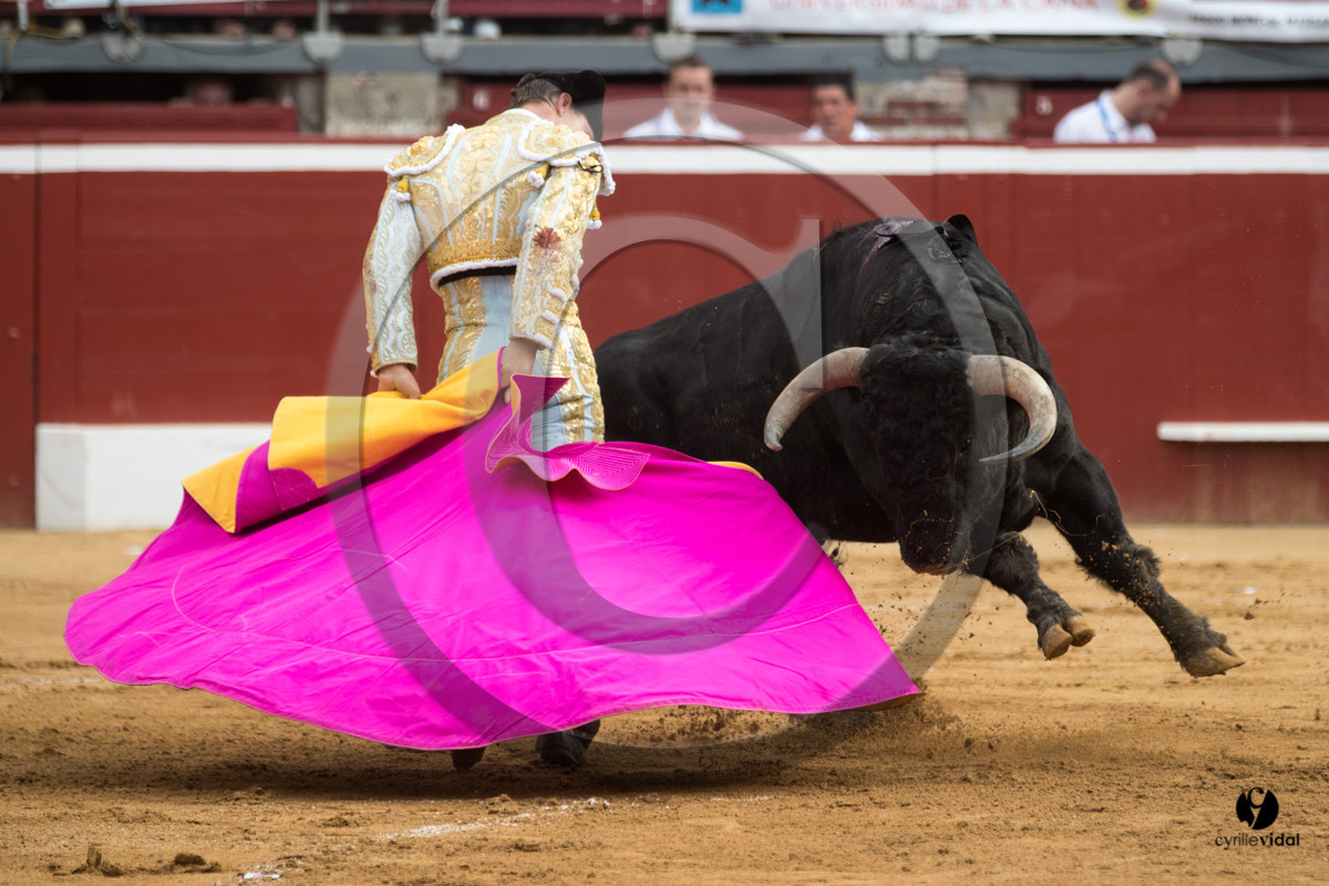 Mont-de-Marsan corrida de Garcigrande pour El Juli et Juan Bautista