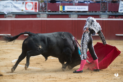 Mont-de-Marsan corrida de Dolores Aguirre pour Octavio Chacon - Pepe Moral - Juan Léal