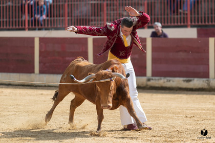 Course landaise Le Houga Ganadéria Dussau Cuadrilla Alexandre Brethes