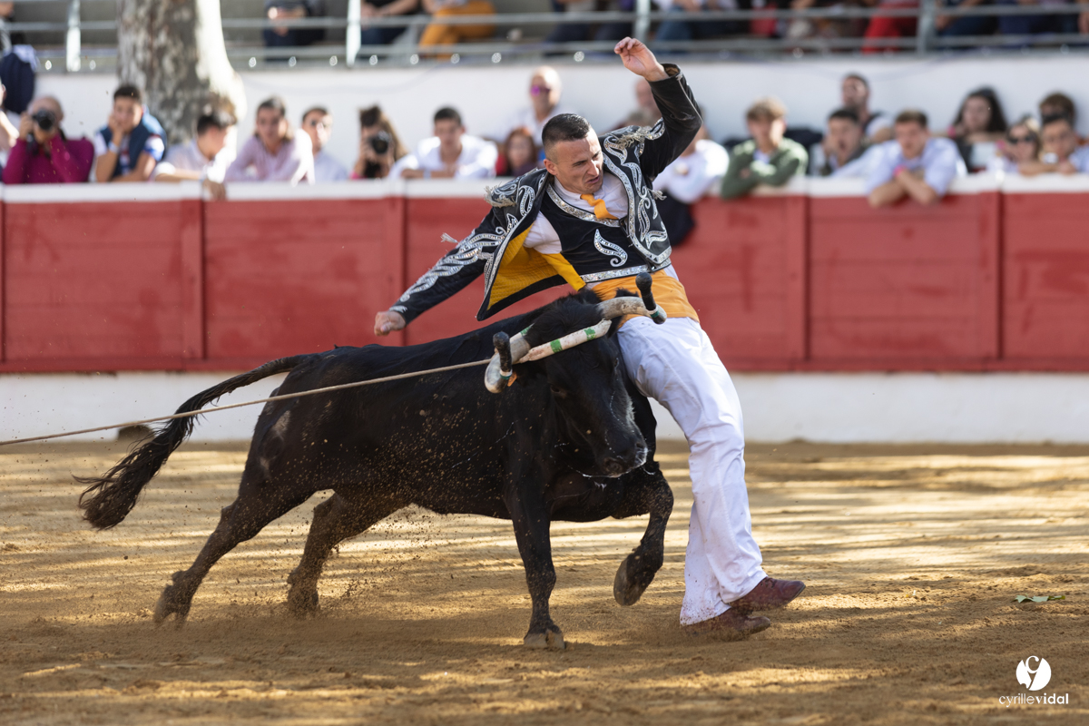 Nogaro Championnat de France de course landaise 2022