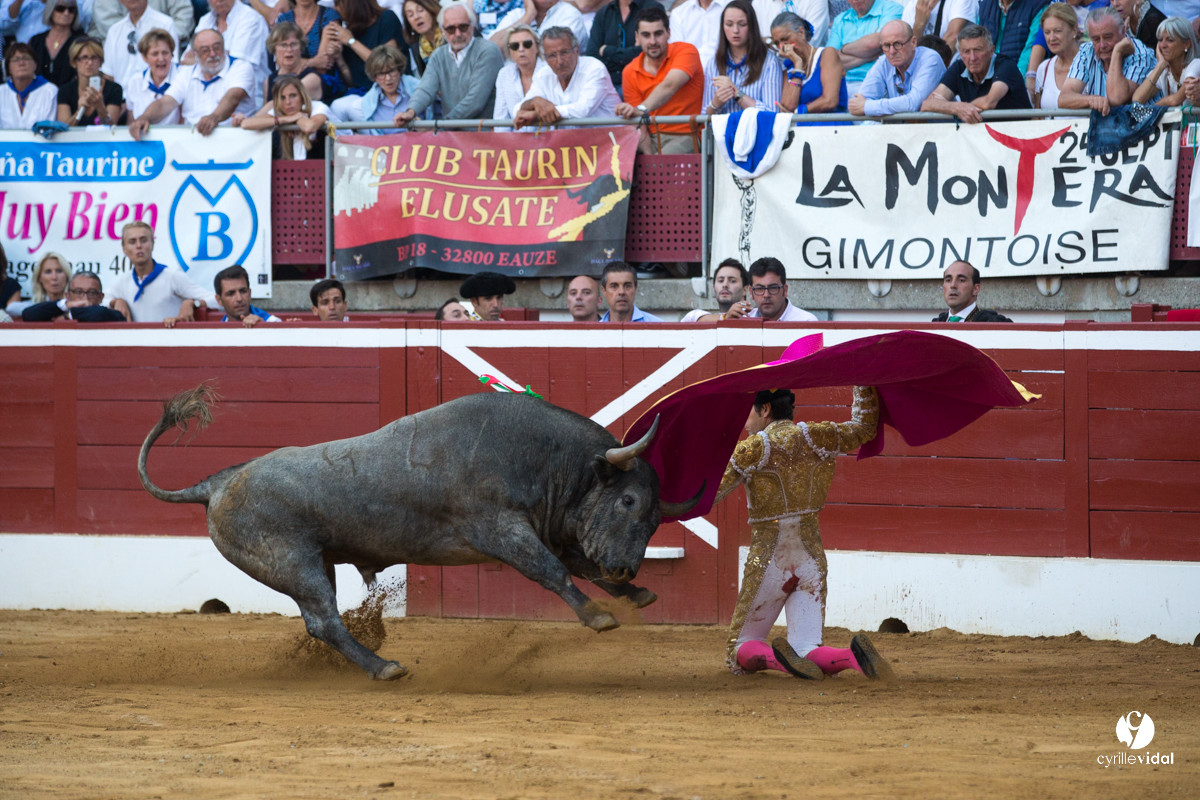 Mont-de-Marsan corrida d'Adolfo Martin