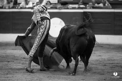 Mont-de-Marsan corrida de Jandilla pour Padilla - Talavante - Roca Rey