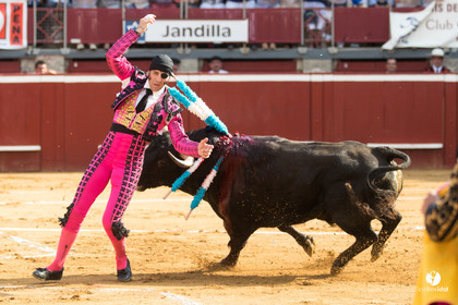 Mont-de-Marsan corrida de Jandilla pour Padilla - Talavante - Roca Rey