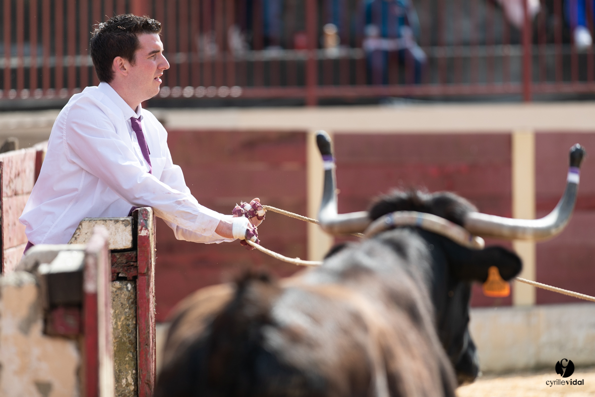 Course landaise Le Houga Ganadéria Dussau Cuadrilla Alexandre Brethes