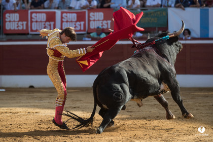 Mont-de-Marsan corrida de Dolores Aguirre pour Octavio Chacon - Pepe Moral - Juan Léal