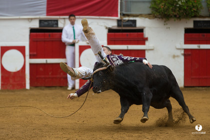 Nogaro Championnatde France de Course Landaise 2017