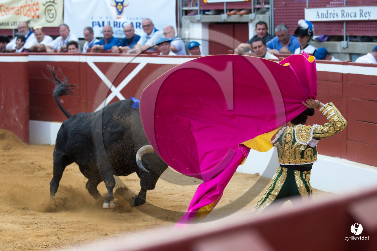 Mont-de-Marsan corrida de Jandilla pour Padilla - Talavante - Roca Rey