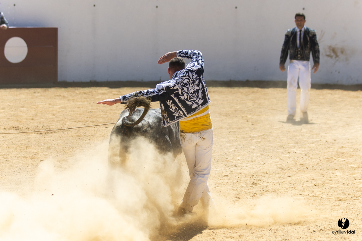 Saint-Cricq Chalosse course landaise de promotion Ganadéria Deyris Cuadrilla Jérémy Lafitte