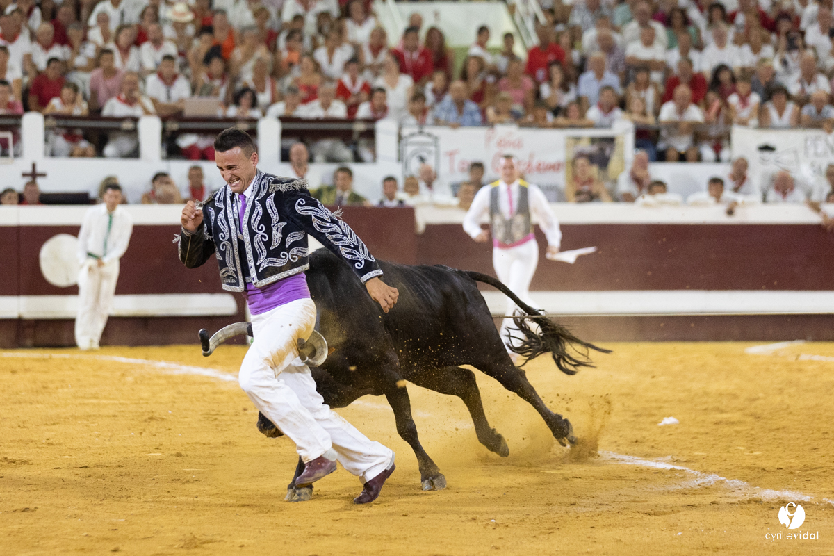 Dax concours landais 2022