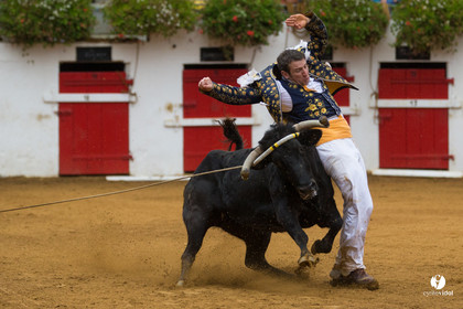 Nogaro Championnatde France de Course Landaise 2017