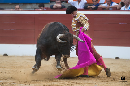 Mont-de-Marsan corrida de Garcigrande pour El Juli et Juan Bautista