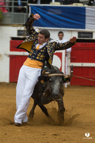 Nogaro Championnatde France de Course Landaise 2017