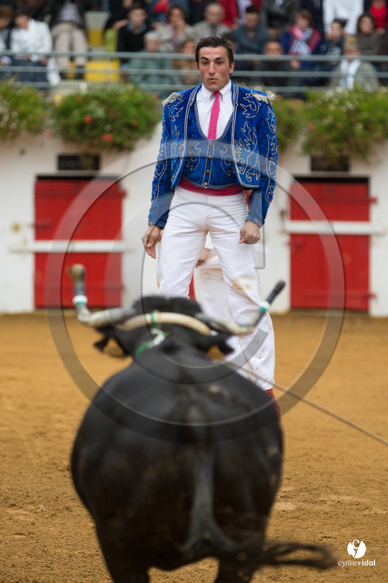 Nogaro Championnatde France de Course Landaise 2017