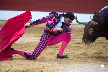 Mont-de-Marsan corrida de Jandilla pour Padilla - Talavante - Roca Rey