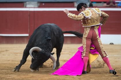 Mont-de-Marsan corrida de Garcigrande pour El Juli et Juan Bautista