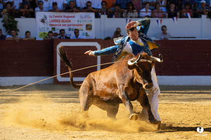 Aire-sur-l'Adour Championnat de France de course landaise 2023