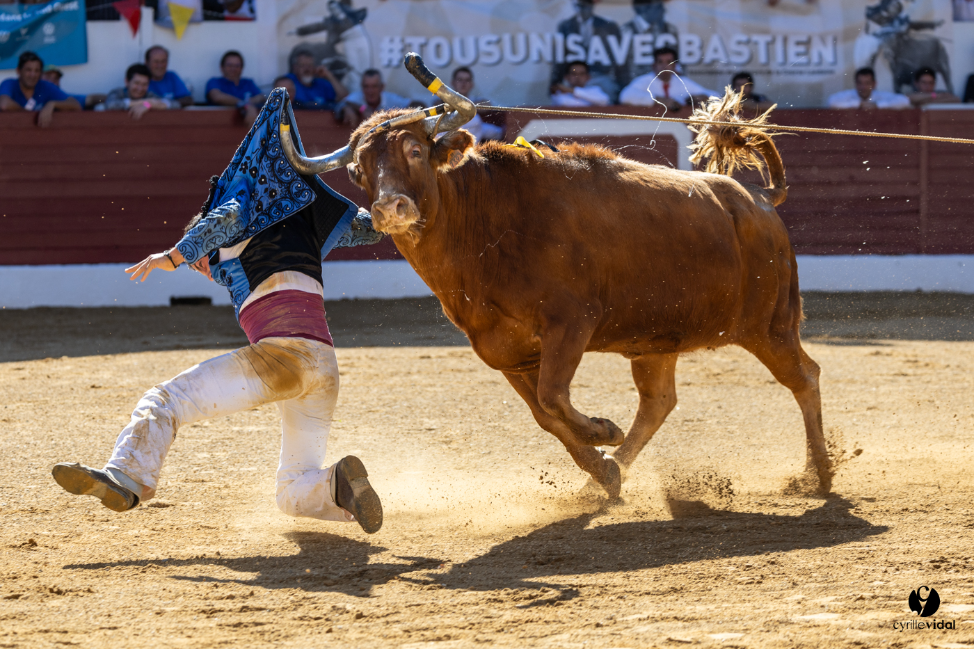Aire-sur-l'Adour Championnat de France de course landaise 2023