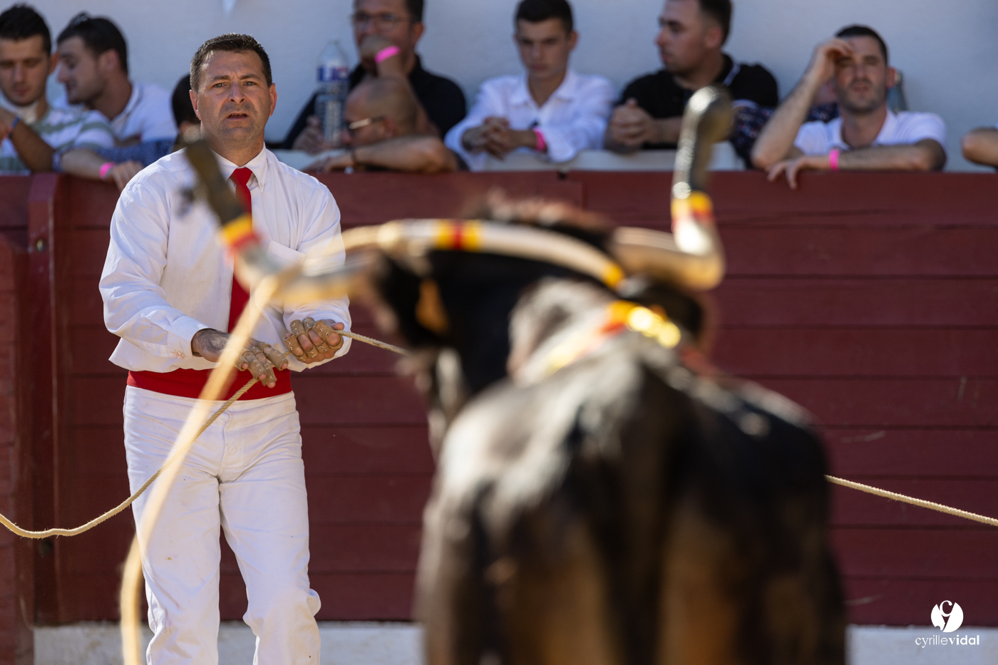 Aire-sur-l'Adour Championnat de France de course landaise 2023