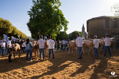 2025-09-06-1345.jpg