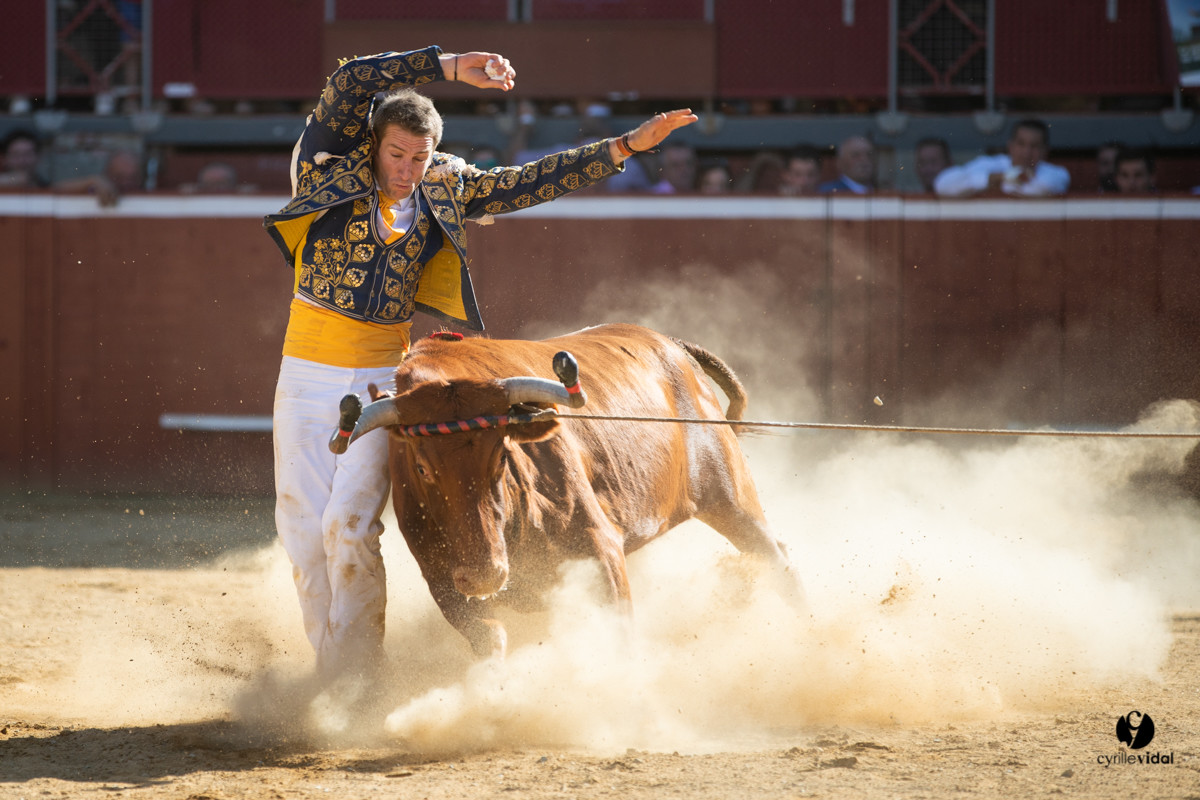 Mont-de-Marsan championnat de France de course landaise 2019