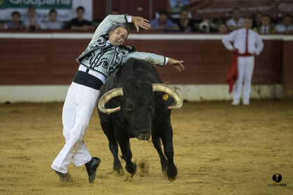 Mont-de-Marsan festival Art et Courage