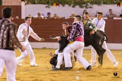 Aire sur l'Adour course landaise génération Aturine