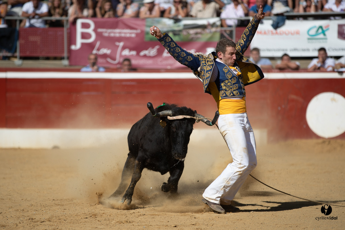 Mont-de-Marsan championnat de France de course landaise 2019
