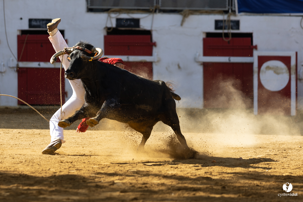 Nogaro Championnat de France de course landaise 2022