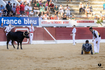 Aire-sur-l'Adour Championnat de France de course landaise 2023
