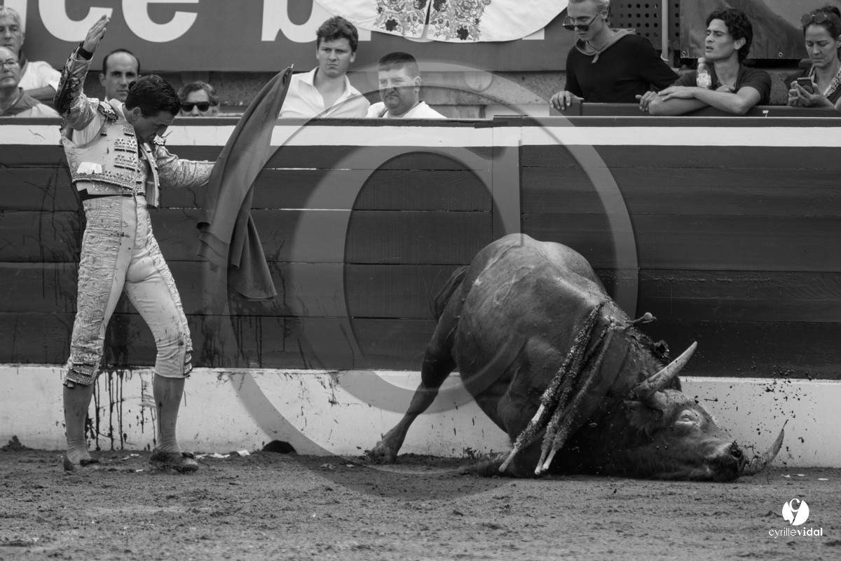 Mont-de-Marsan corrida de Dolores Aguirre pour Octavio Chacon - Pepe Moral - Juan Léal