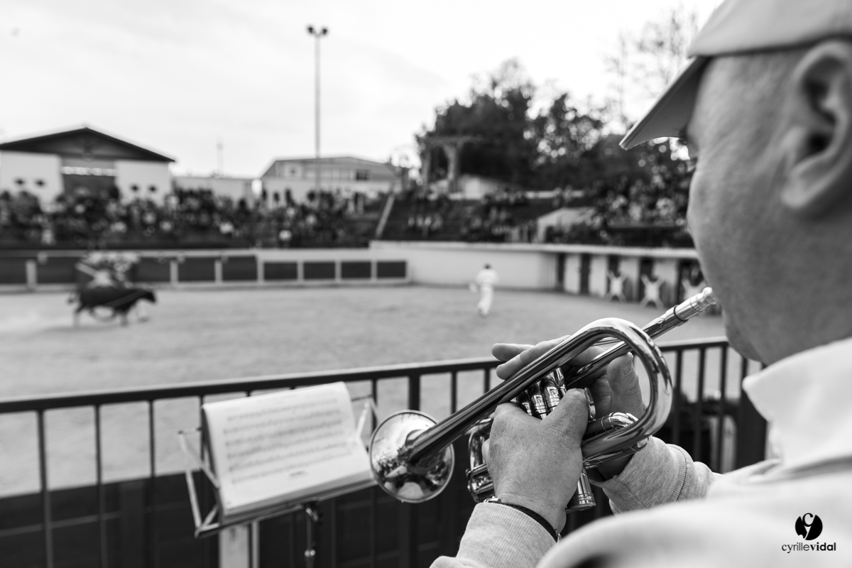 Course landaise Le Houga Ganadéria Dussau Cuadrilla Alexandre Brethes