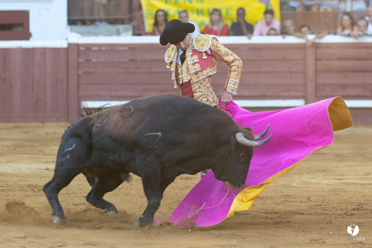 Corrida de Villeneuve-de-Marsan