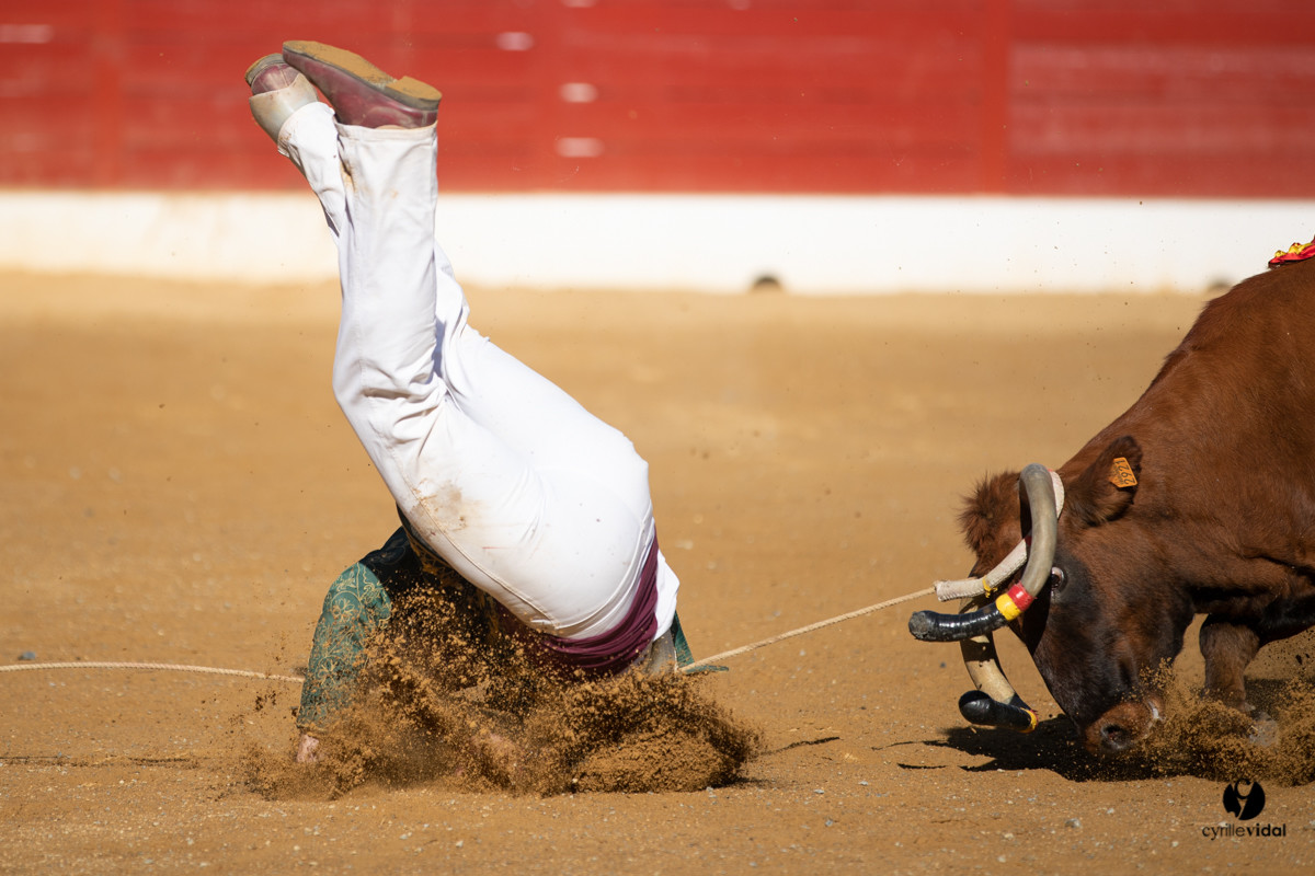 Mont-de-Marsan championnat de France de course landaise 2019