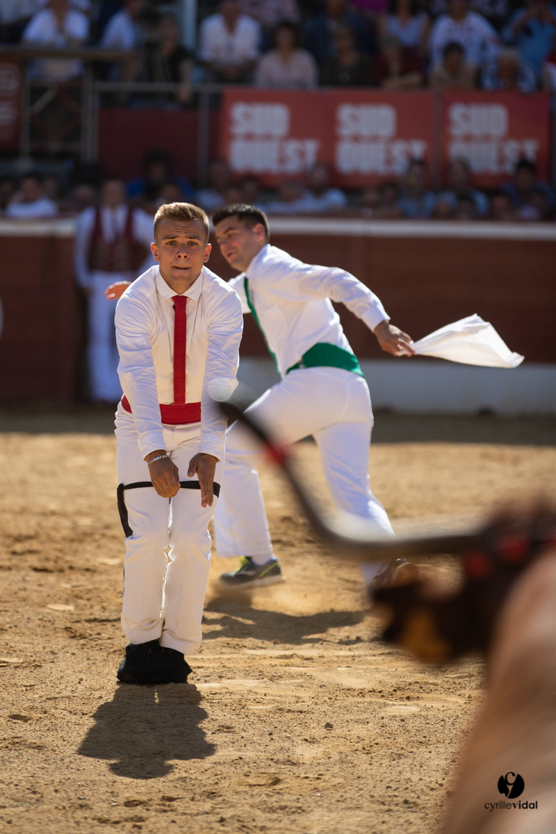 Mont-de-Marsan championnat de France de course landaise 2019
