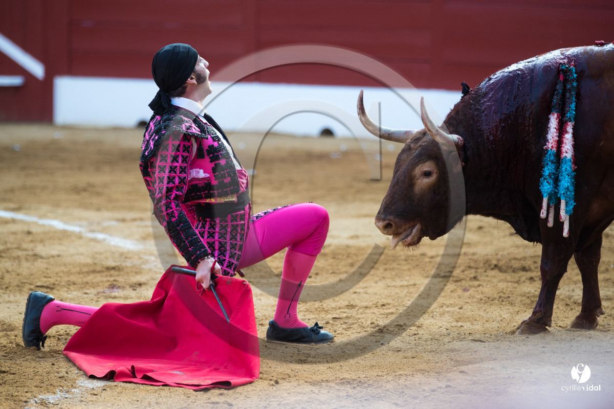 Mont-de-Marsan corrida de Jandilla pour Padilla - Talavante - Roca Rey