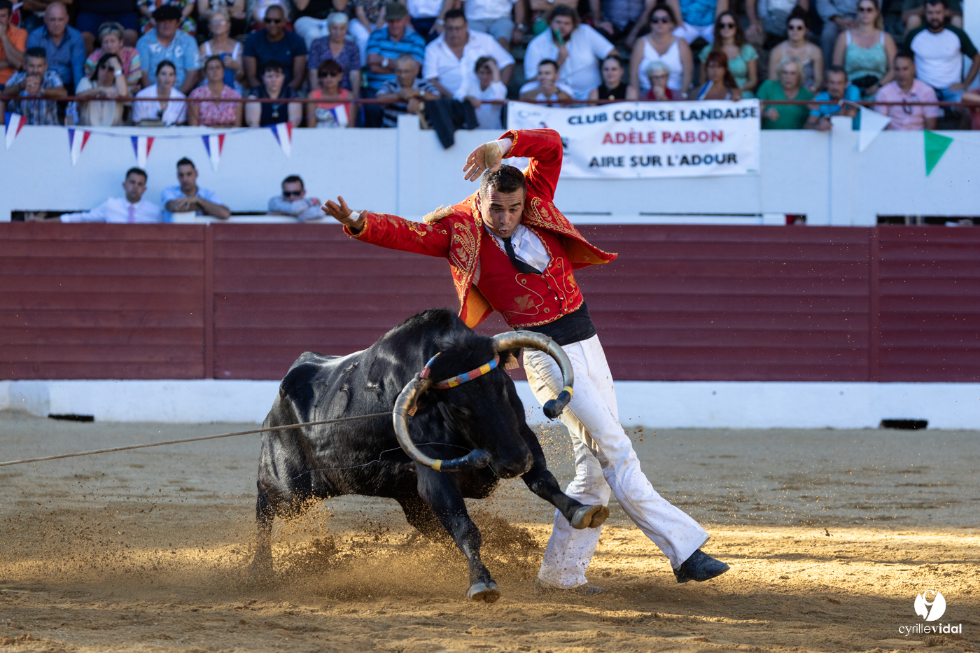 Aire-sur-l'Adour Championnat de France de course landaise 2023